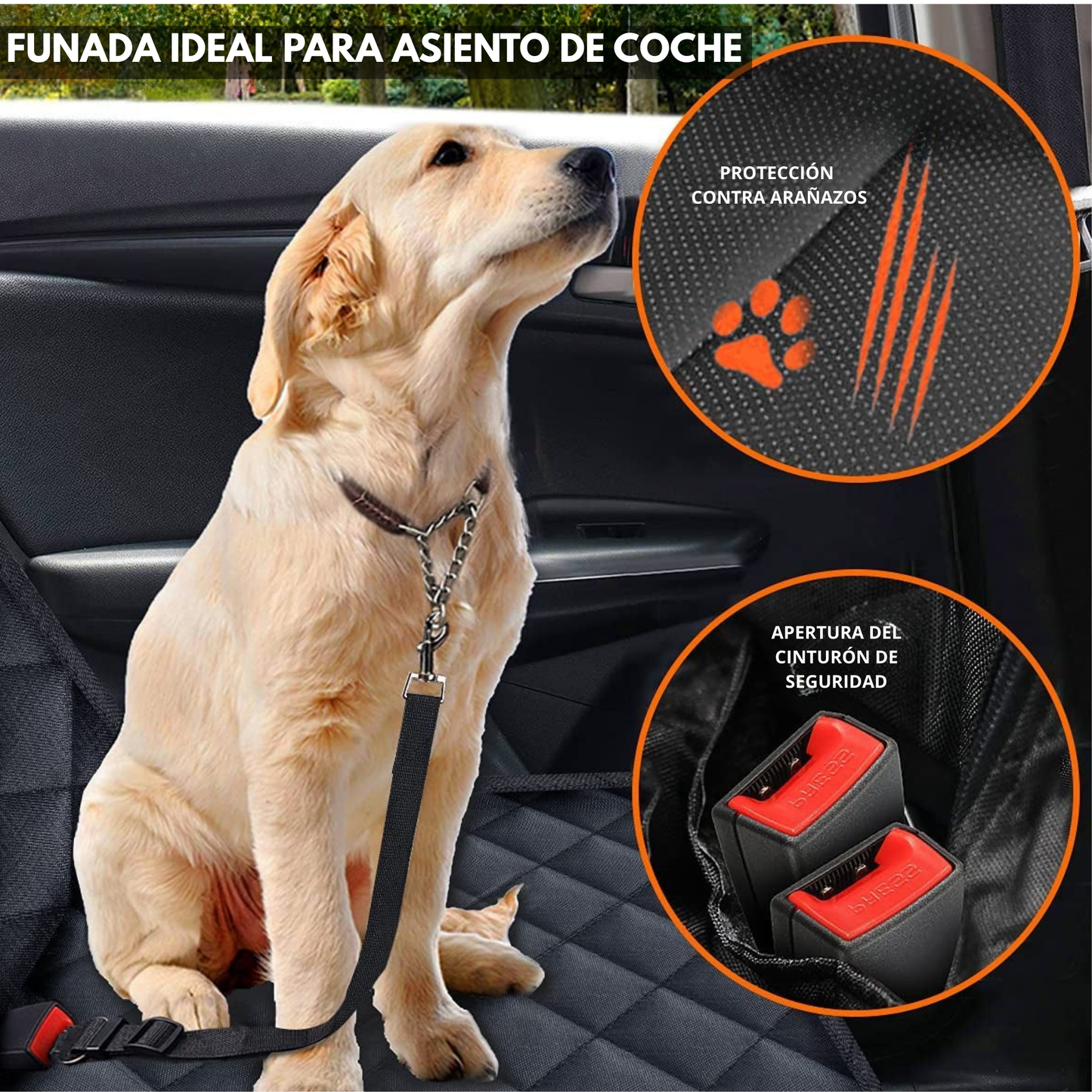 Paw Cover